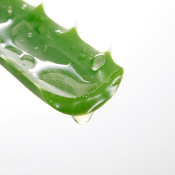 aloe-vera-1-350x350 aloe-vera-1-350x350