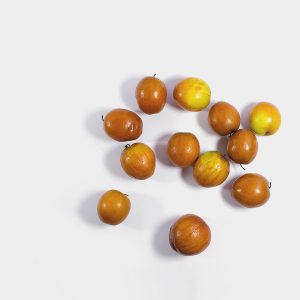 jojoba-1
